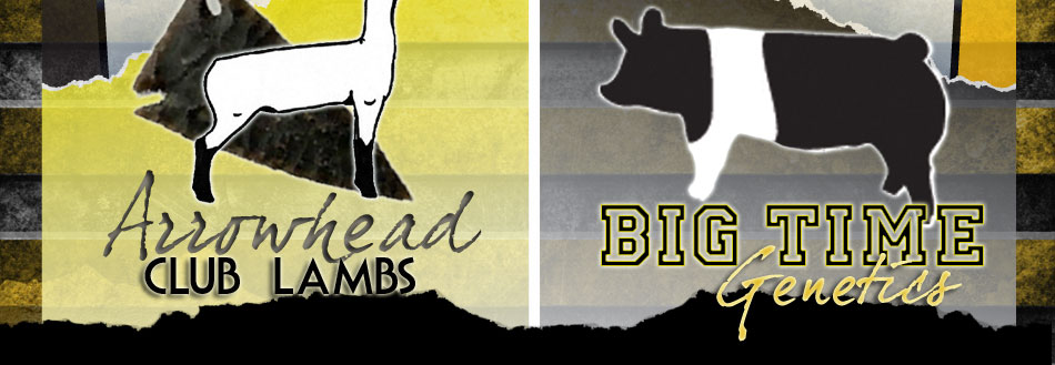 Arrowhead Club Lambs & Big Time Genetics
